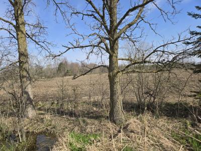 0 Meskill (Lot D) Road, Columbus Twp., Michigan 48063, Stati Uniti