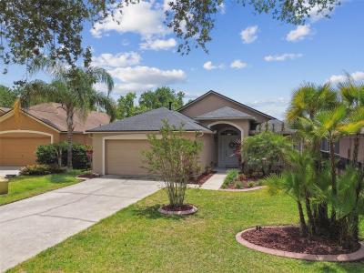6006 Chellas Court, Lutz, Florida 33558, Stati Uniti