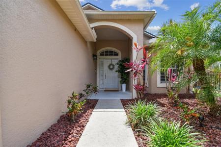 6006 Chellas Court, Lutz, Florida 33558, Stati Uniti