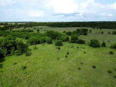 30 ac FM 118, Greenville, Texas 75401, Estados Unidos