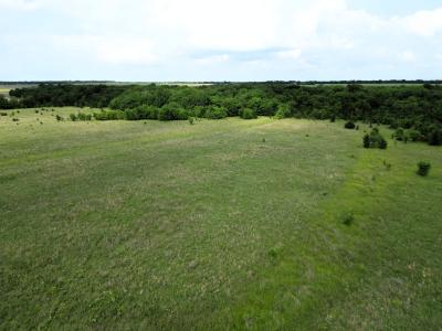 30 ac FM 118, Greenville, Texas 75401, Estados Unidos