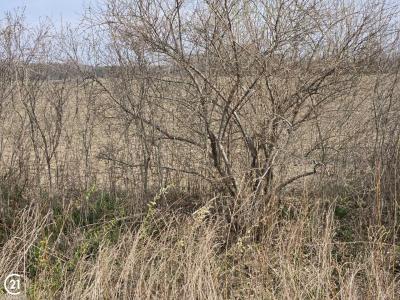 0 Weber (lot B), Richmond Twp, Michigan 48063, USA