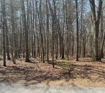 141 Hawks Nest Dr Drive, Hawley, Pennsylvanie 18428, États-Unis