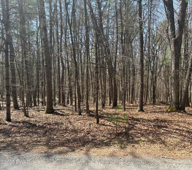 141 Hawks Nest Dr Drive, Hawley, Pennsylvanie 18428, États-Unis