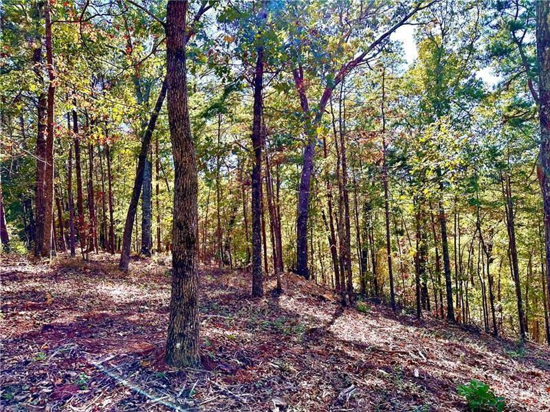 1405 Foxhound Trail NE, Ranger, Georgia 30734, USA