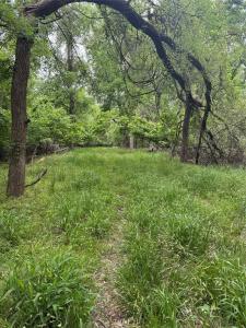 000 Cr-4757, Boyd, Texas 76023, HOA KỲ