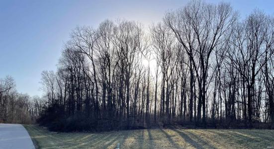 5080 (Lot 8) S Bridle Path Trail, Bloomington, Indiana 47403, Estados Unidos
