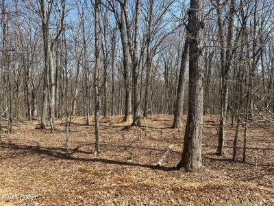 139 Rim Rock Lane, Hawley, Pennsylvania 18428, Stati Uniti