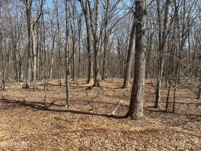 139 Rim Rock Lane, Hawley, Pennsylvania 18428, Stati Uniti