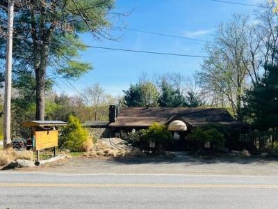 230 Sand Spring Road, Cresco, Pennsylvania 18326, USA
