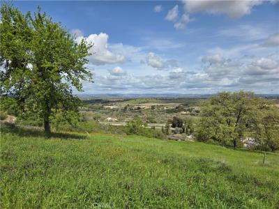 436 Calle Alto Street, Paso Robles, California 93446