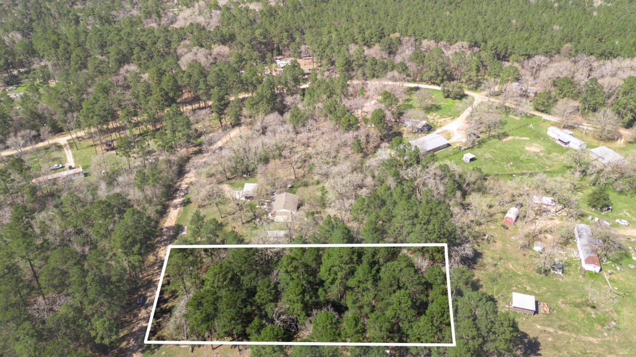 N/a Blue Lake Drive, Plantersville, Texas 77363, HOA KỲ