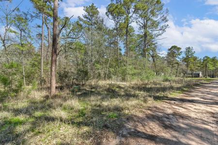 N/a Blue Lake Drive, Plantersville, Texas 77363, USA