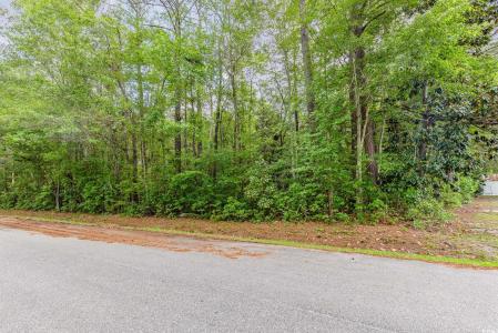 TBD Paul St., Loris, Caroline Du Sud 29569, États-Unis