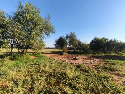 Rustenburg, North West, جنوب أفريقيا 