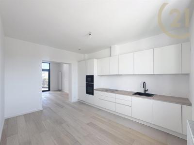 Brusselsesteenweg  429 0201, Zellik, 벨기에