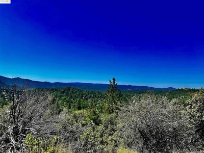20605 Eden Ln, Tuolumne, California 95379, Stati Uniti