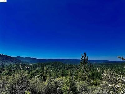 20605 Eden Ln, Tuolumne, California 95379, Stati Uniti