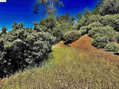 20605 Eden Ln, Tuolumne, California 95379, Stati Uniti