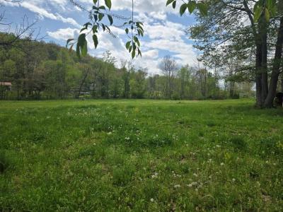 4672 Lucasville Minford Rd, Minford, Ohio 45653, Estados Unidos