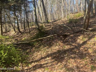 Mellick Hollow Road, Bloomsburg, פנסילבניה 17815, ארצות הברית של אמריקה