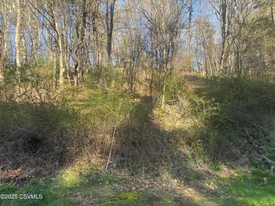 Mellick Hollow Road, Bloomsburg, פנסילבניה 17815, ארצות הברית של אמריקה