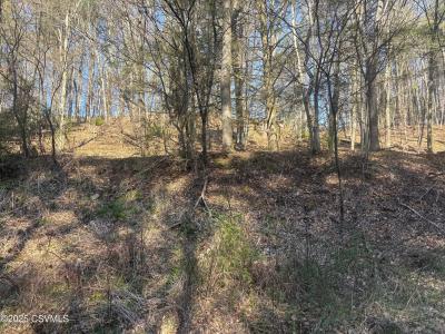 Mellick Hollow Road, Bloomsburg, פנסילבניה 17815, ארצות הברית של אמריקה