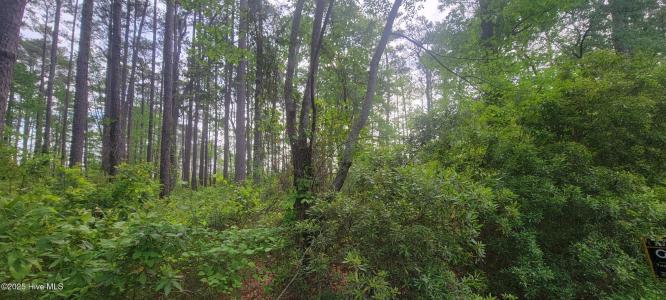 Lot 7 Strawhorn Point Drive, Aurora, NC 27806, USA