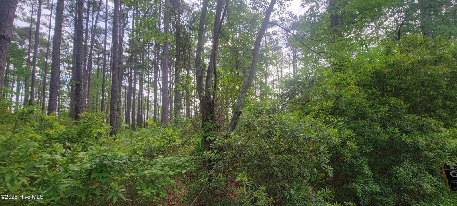 Lot 7 Strawhorn Point Drive, Aurora, Северная Каролина 27806, Соединенные Штаты