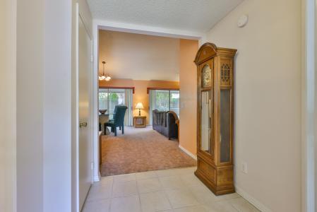 1005 Hardwood Dr, Valrico, 佛罗里达州 33596, 美国