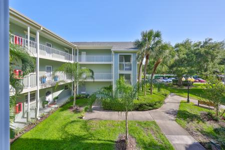330 Promenade Dr # 206, Dunedin, Floride 34698, États-Unis
