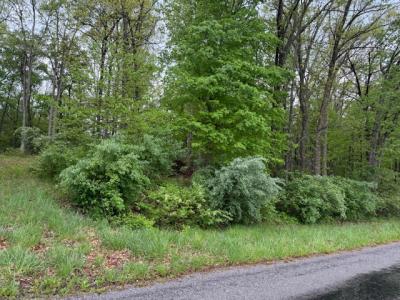 TBD Country Club Rd & Power Plant Rd, Marion, Illinois 62959, Estados Unidos