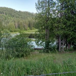 1959 Thimbleberry Lane, Sandpoint, Idaho 83864, HOA KỲ