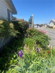1400 W 13th St # 148, Upland, Californie 91786, États-Unis