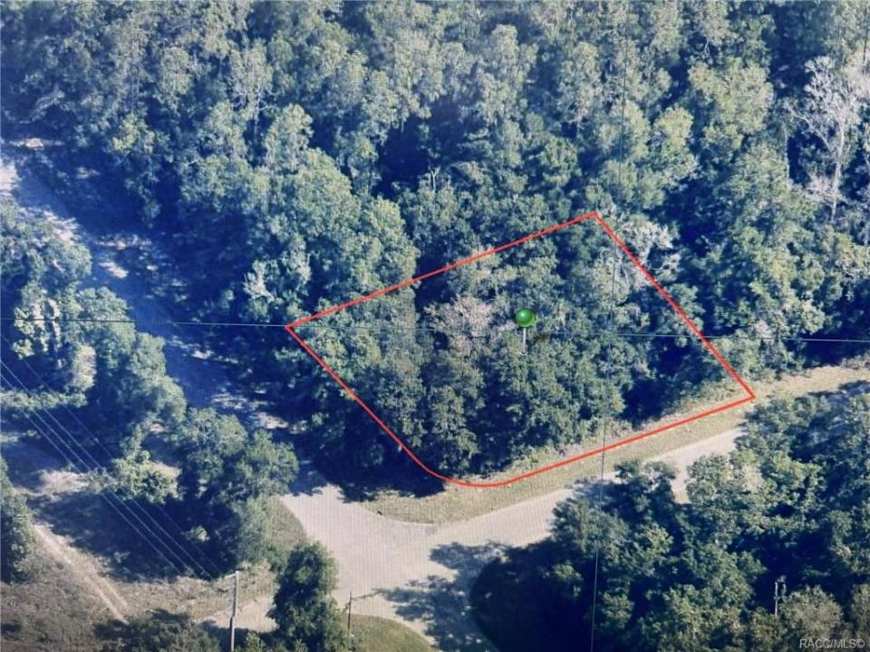 8811 N Quarry Drive, Citrus Springs, Flórida 34434, Estados Unidos