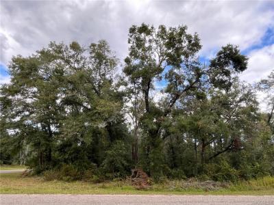 8811 N Quarry Drive, Citrus Springs, Flórida 34434, Estados Unidos