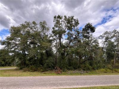 8811 N Quarry Drive, Citrus Springs, Flórida 34434, Estados Unidos