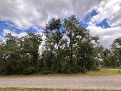 8811 N Quarry Drive, Citrus Springs, Flórida 34434, Estados Unidos