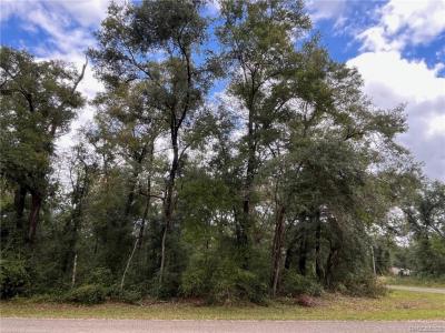 8811 N Quarry Drive, Citrus Springs, Flórida 34434, Estados Unidos