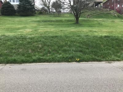 Wanda St., Weirton, מערב וירג'יניה 26062, ארצות הברית של אמריקה 