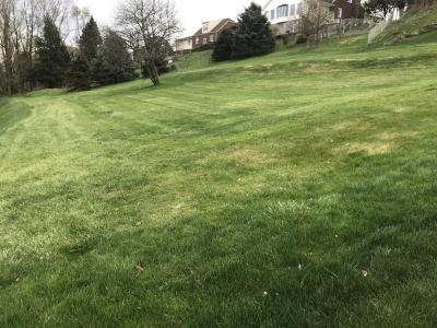Wanda St., Weirton, מערב וירג'יניה 26062, ארצות הברית של אמריקה 