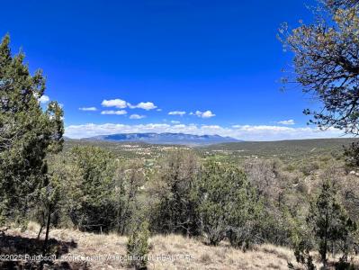 L347 Tierra Nueva Dr, Alto, Novo México 88312, Estados Unidos
