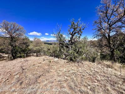 L347 Tierra Nueva Dr, Alto, Novo México 88312, Estados Unidos