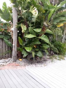 14555 Bayshore Dr N, Madeira Beach, Florida 33708, Stati Uniti