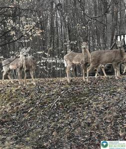 535 Maxatawny Drive, Coolbaugh Twp, Pennsylvania 18347, Stati Uniti