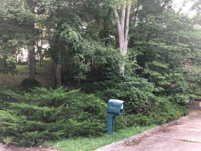49 Timberturn Drive, Hurricane, West Virginia 25526, HOA KỲ