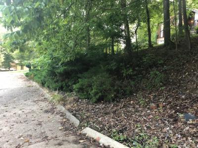 49 Timberturn Drive, Hurricane, West Virginia 25526, HOA KỲ