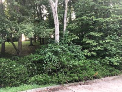 49 Timberturn Drive, Hurricane, West Virginia 25526, HOA KỲ
