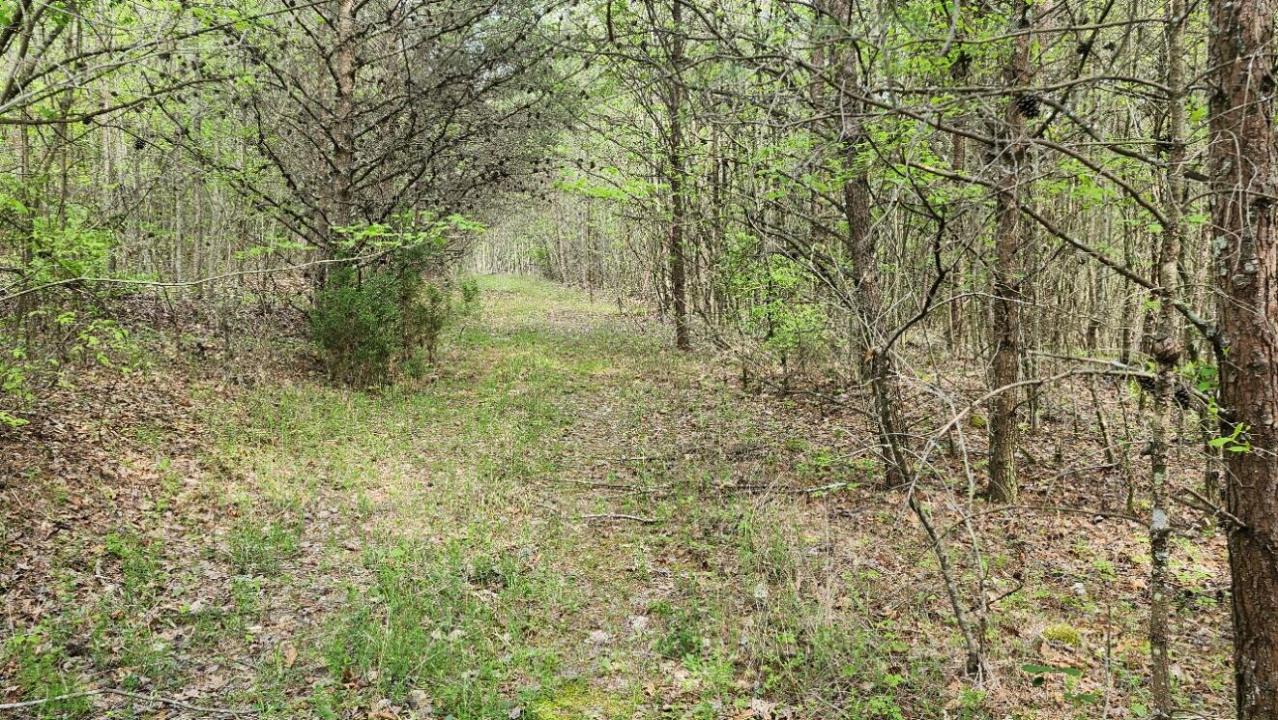 0 Old Holy Water Road, Tracy City, Теннесси 37387, Соединенные Штаты