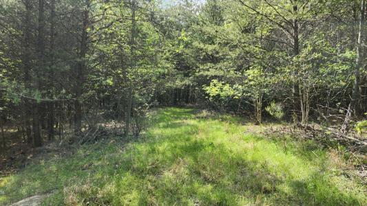 0 Old Holy Water Road, Tracy City, Теннесси 37387, Соединенные Штаты